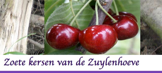 zuylenhoeve
