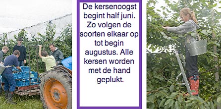zuylenhoeve